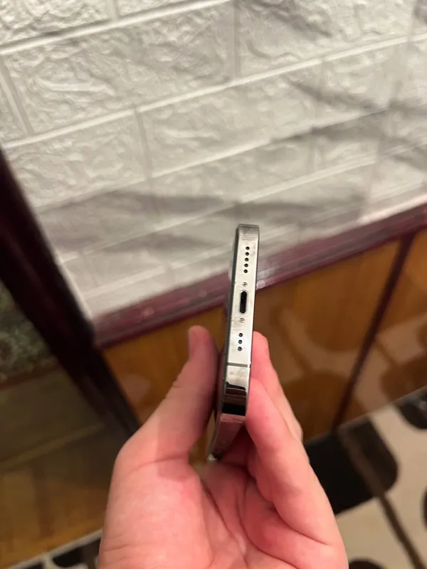 13 pro 1 13 pro 1