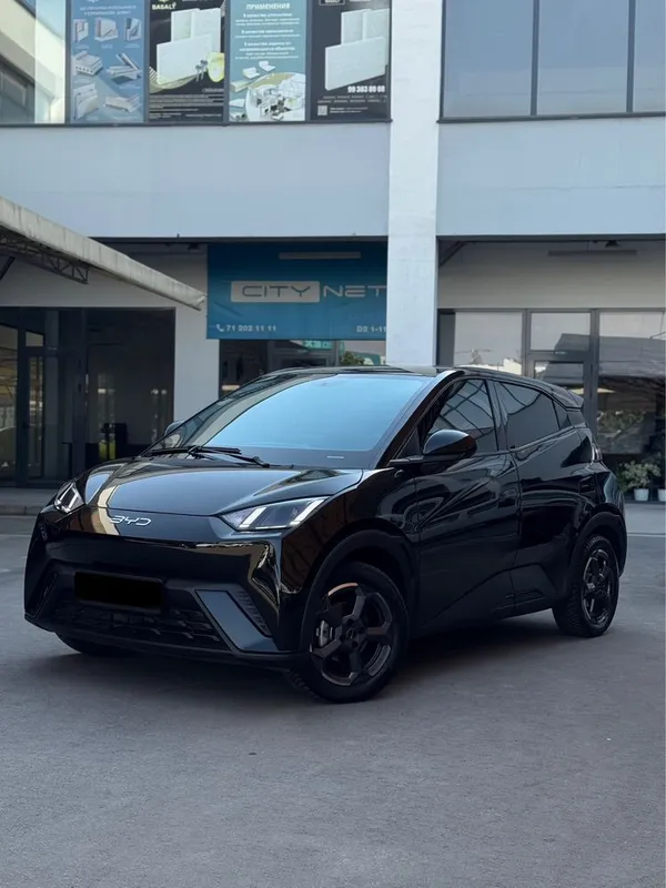 Byd seagull 2023 full 1 Byd seagull 2023 full 1