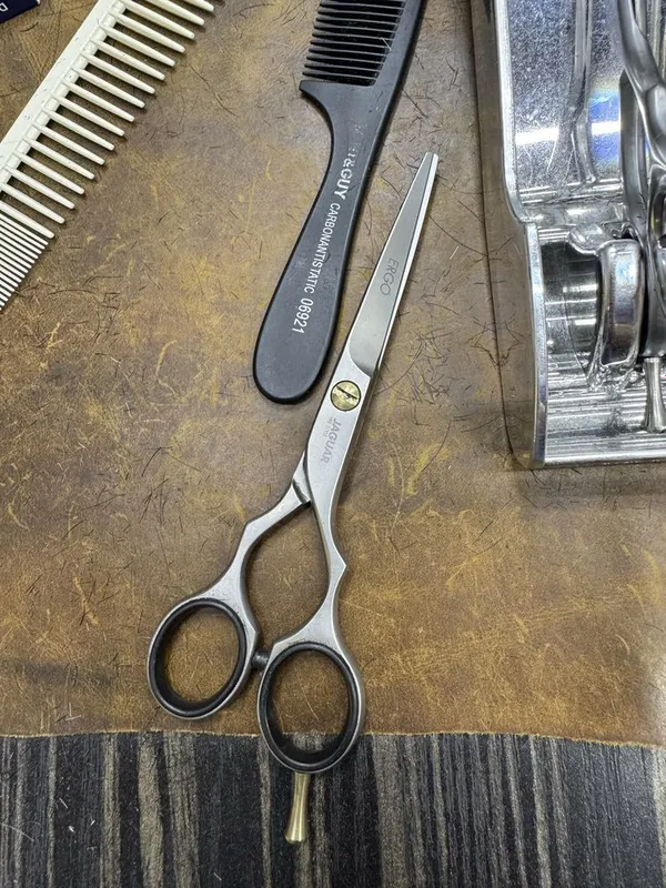 Jaguar ergo 5,5 2 Jaguar ergo 5,5 2