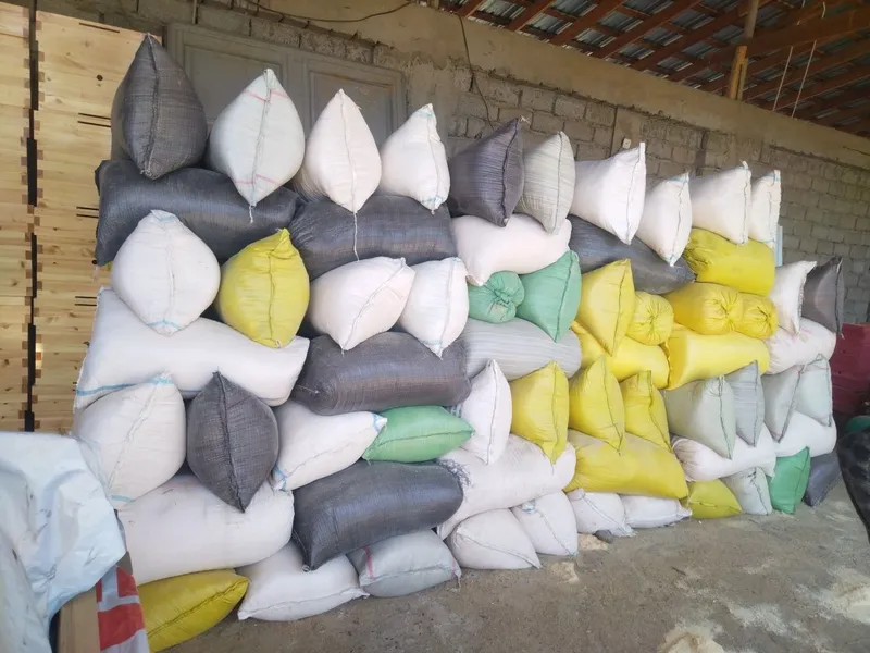 apilka 14000 kelishiladi