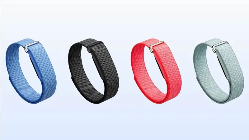 Fitbit Air Google 1 Fitbit Air Google 1