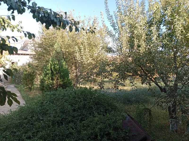 Уй сатылады срочно — фото 3