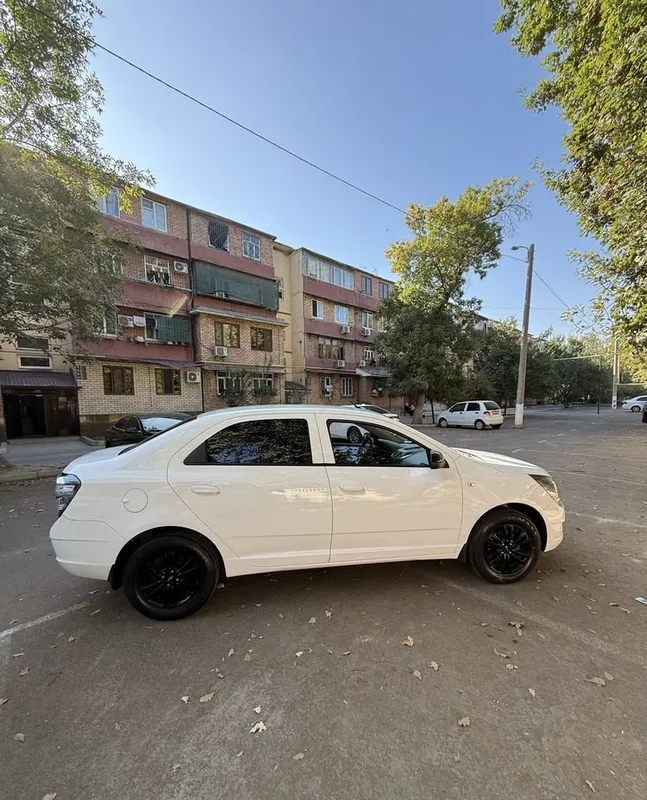 Cobalt Midnitght AT 2025 2 Cobalt Midnitght AT 2025 2
