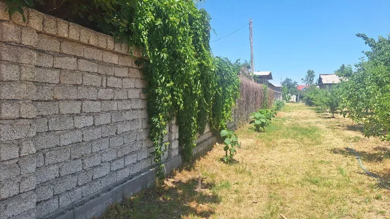 Продается дача в паркенте 3 Продается дача в паркенте 3