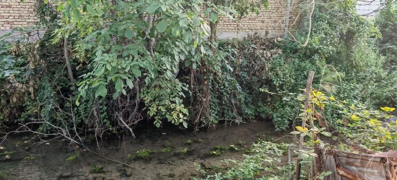 Продам срочно дачу на ташморе. Дача с бассейном на природе. 7 Продам срочно дачу на ташморе. Дача с бассейном на природе. 7