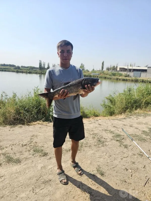 Рыбалка, реальная, стопроцентная ! 2 Рыбалка, реальная, стопроцентная ! 2