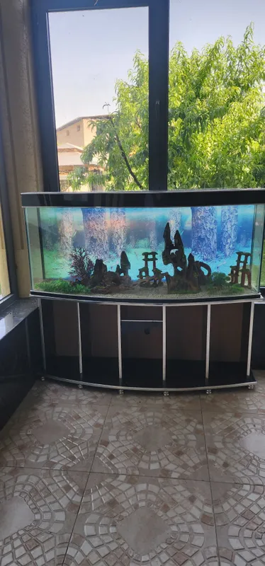 Аквариум Akvarium