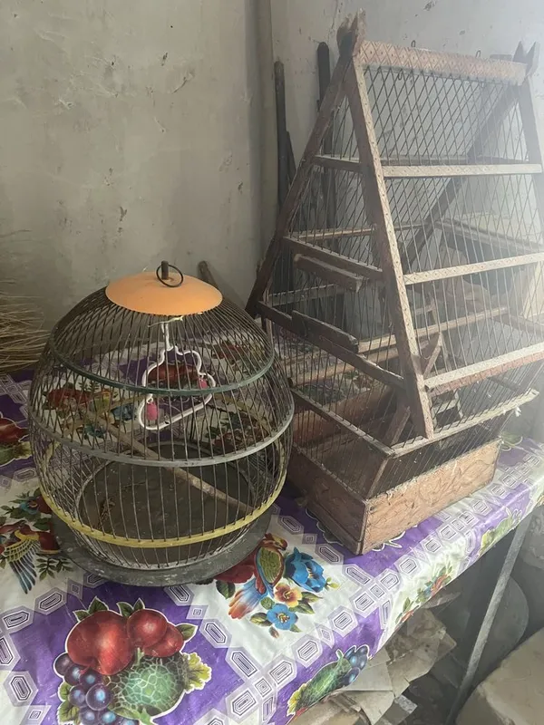 Qush Qafaslari Sotiladi Narxini Kelishamiz — фото 2