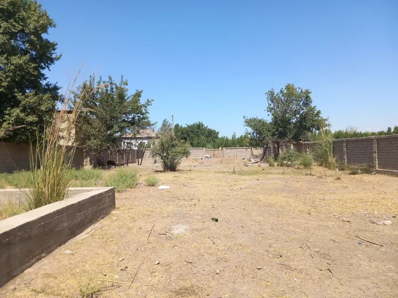 земельный участок — фото 1