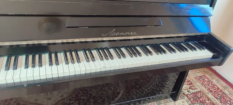 Pionina sotiladi xolati alo 1