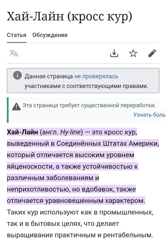 Цыплята 100 % курочки несушки Хай Лайн соня. Жужалар Jojalar — фото 5