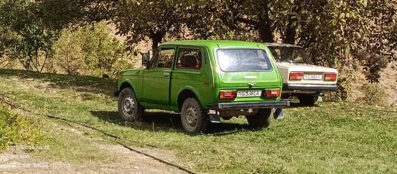Radnoy NIVA 4 balon yangi chirigi yoʻq suvarka tegmaga li salon qiling — фото 3