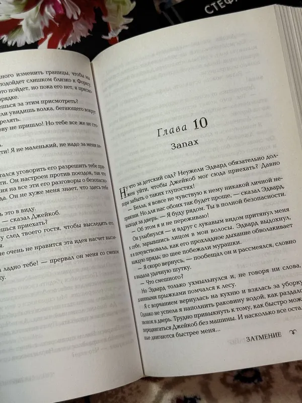 книга «Затмение» Стефани Майер — фото 3