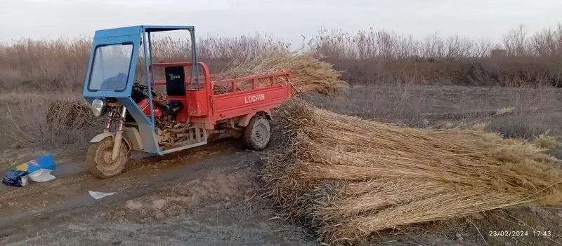 Продаётся «Лочин», состояние хорошее, 2024 года 8