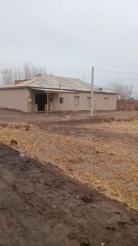 Абай ОФИ да Уй сатылады. — фото 1