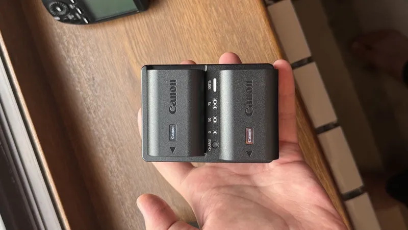 Canon R6 mark ii Body godoox AD100 pro spishka Triger Zaryadchio 2x o 6