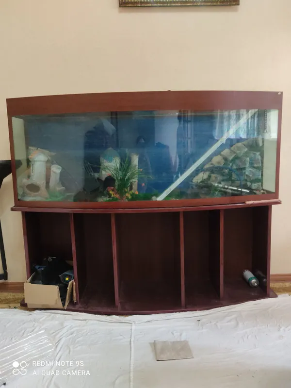 AKVARIUM SOTILADI SROCHNA 150$ KELISHTIRAMIZA — фото 1