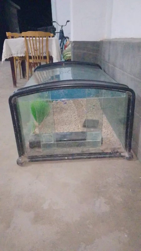 Akvarium sotiladi 2 Akvarium sotiladi 2