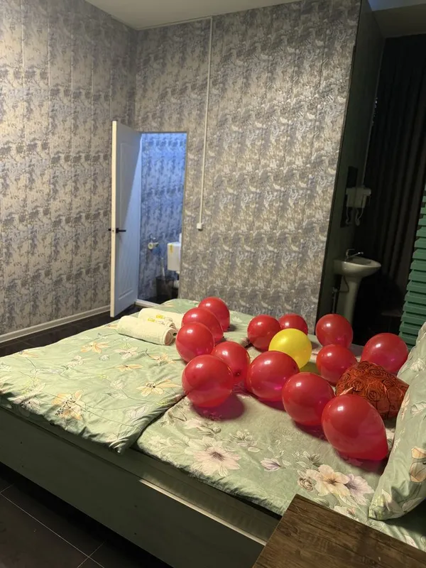 Bez zaks Mehmonxona chilonzor
