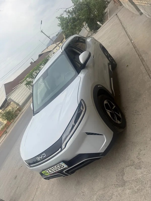 yuan up byd 2025 5 yuan up byd 2025 5