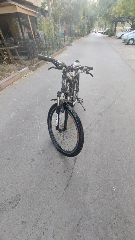 pigion velik 4