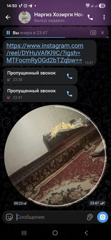 Гилом имперял номли. 3×7