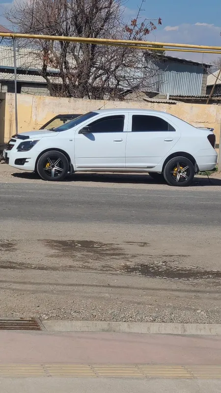 Saka diska obmen Saka diska obmen