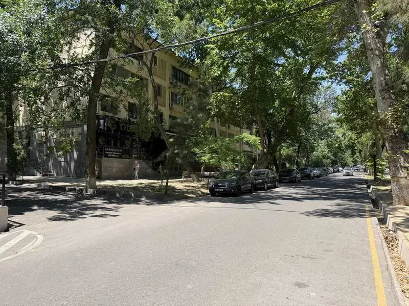 Продажа помещения с арендатором вдоль дороги 120м2 Ор-р Цум 110 школа — фото 5