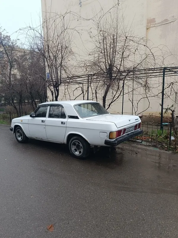 Волга Газ 31029 простой мотор, 5 ступка, Чайка чулок — фото 2