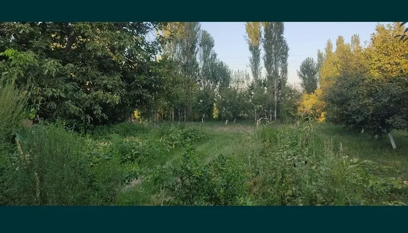 Продаю свой участок с домом — фото 2