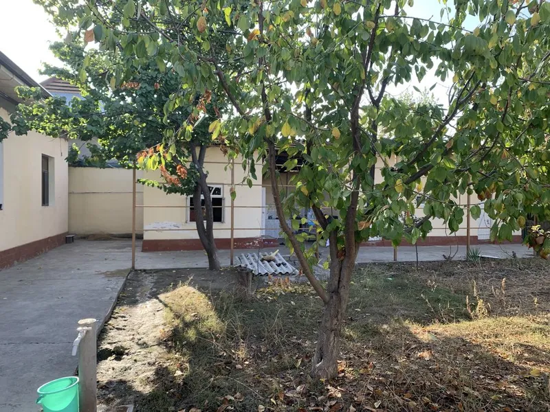 Uchastka yangi, xamma sharoitlari bor — фото 4