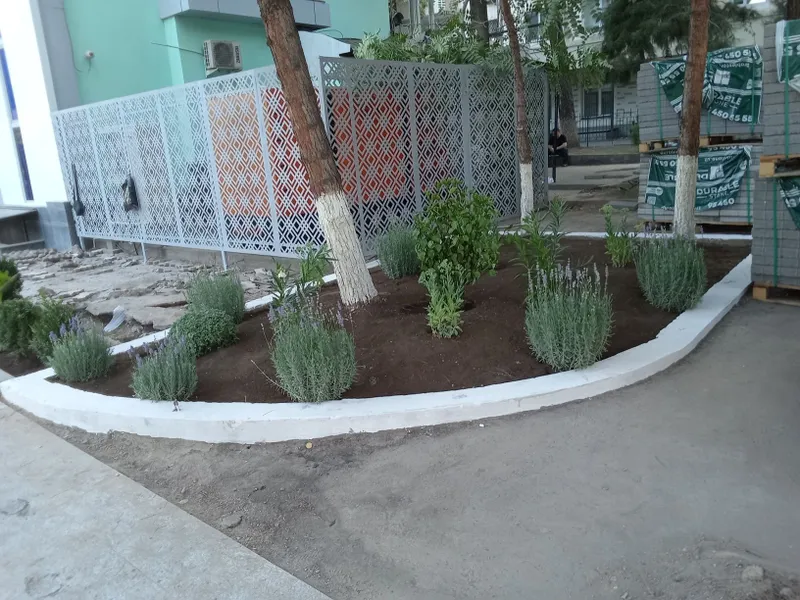 Садовник богбон Уборщик тозаловчи Обработка — фото 1