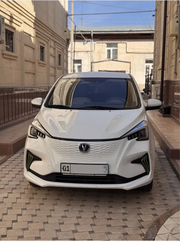 Changan 310км (61.000км пробег) Ben Ben Beng beng E-Star