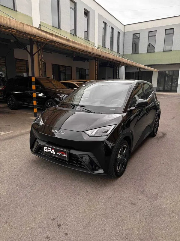 BYD SEAGULL FULL 2023й краска тозза
