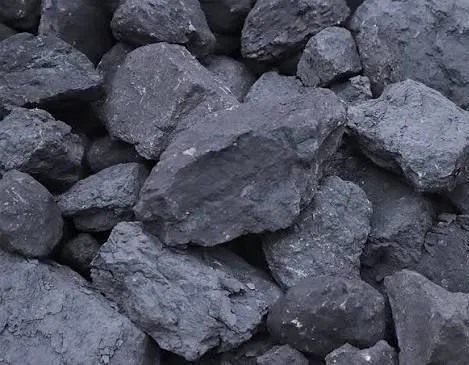 Komir otbor zori shashlik uchun