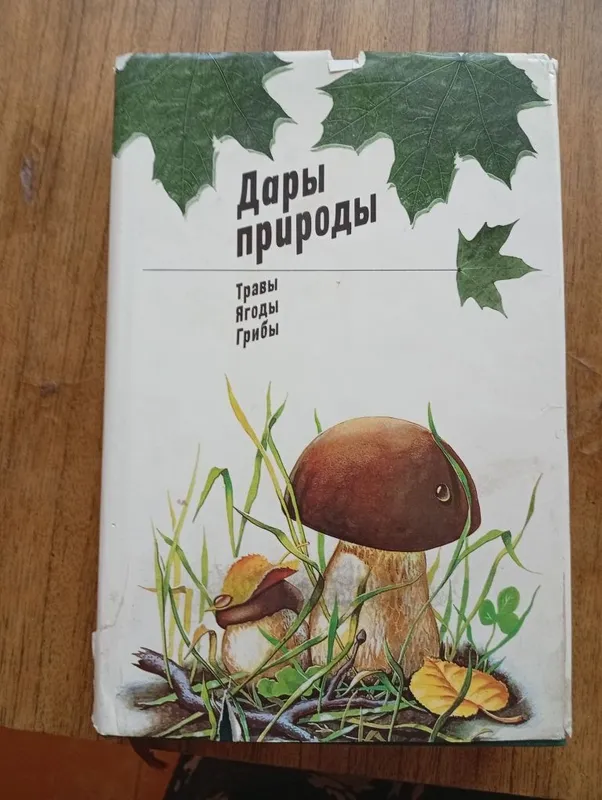 Дары природы травы ягоды грибы