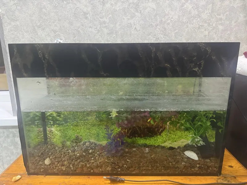 Avaryum b/u 50/10 sm 1 Avaryum b/u 50/10 sm 1