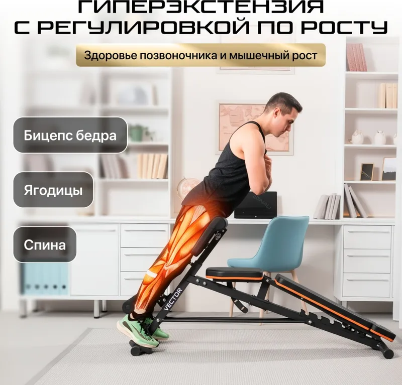 Скамья регулируемая с гиперэкстензией Genau Vector — фото 5