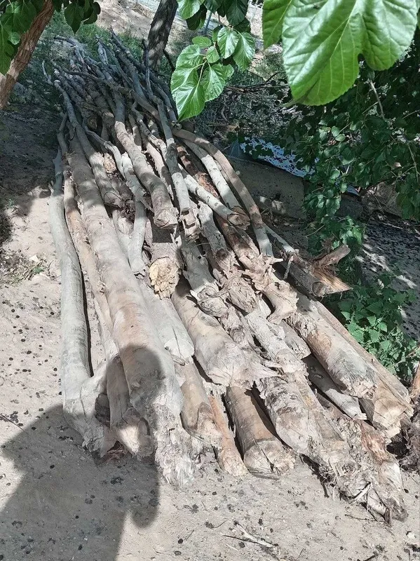 Отын, отын курак, дрова otin kurak