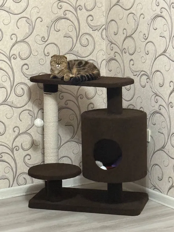 Когтеточка-домик для кошек 🐾 — фото 1