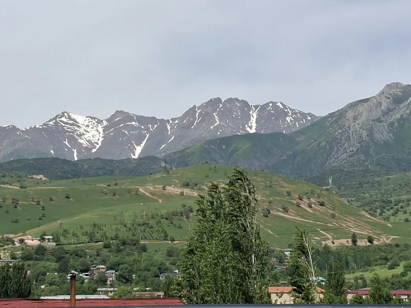 Dacha бочкада покиза дача — фото 8