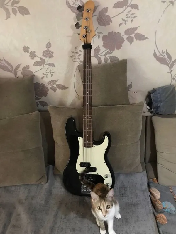 Бас гитара Fender PJ 1 Бас гитара Fender PJ 1