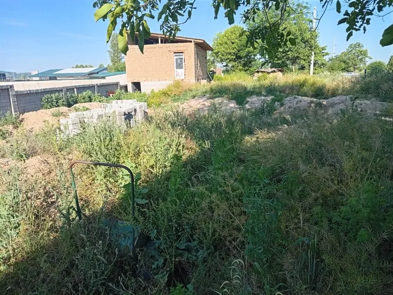 Yangi yul M39 yulni bo'yida yer sotiladi 5000 — фото 3