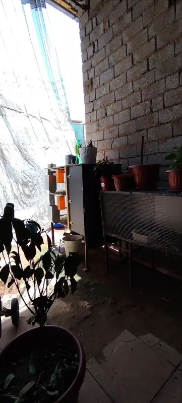 Quyon uchun kataklar quyoni bilan 1