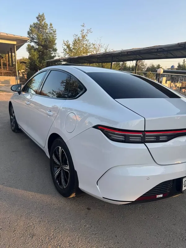 Byd Chazor 2023/24 5 Byd Chazor 2023/24 5