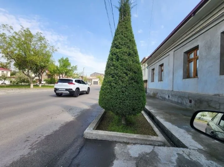 SROCHNA Shayxontohur Tinchlik maxalla 3.7 sotix 2