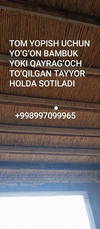 Sifatli qalin, Bambuk, Qayragʻochlar bor,