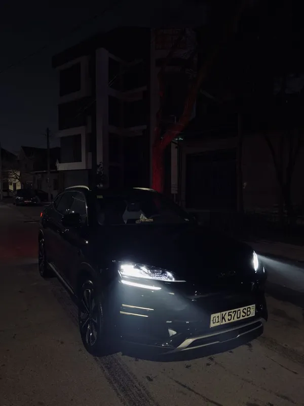 Byd chempion smart 2025