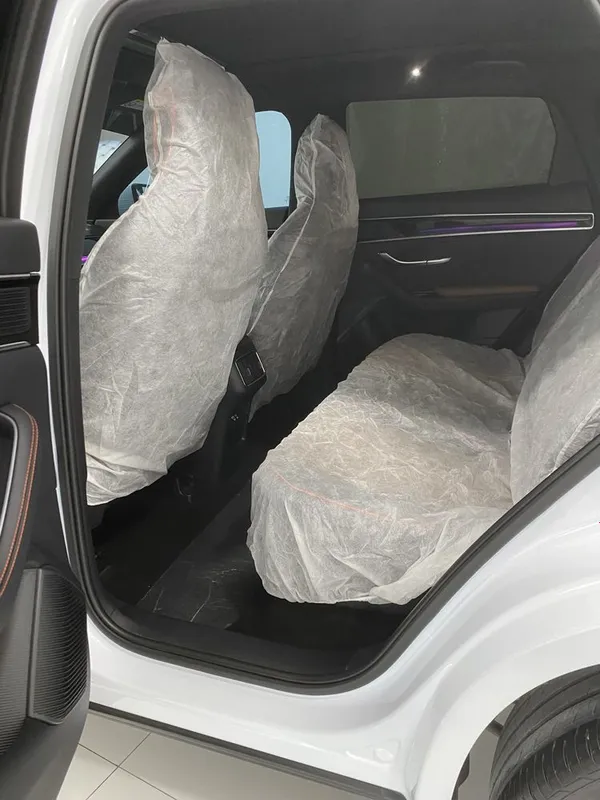 BYD Song plus Champion Dm-i — фото 2