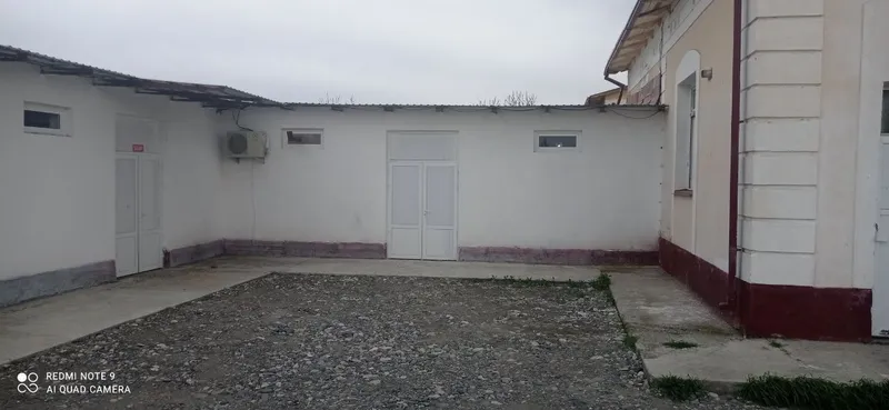 Hovosi toza tinch joydan kotej olaman deganlarga — фото 3